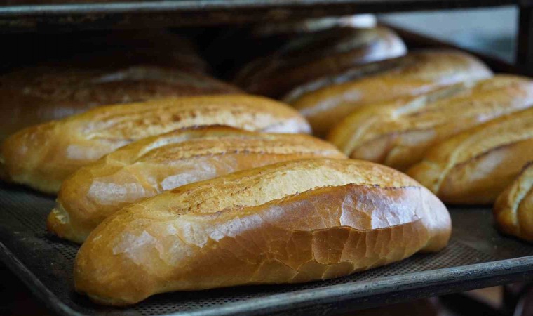 Başkan Bozdoğan: ”Belediye ekmek fırınlarımızda ürettiğimiz ekmekleri halkımıza 1 TL’den satışa sunuyoruz”