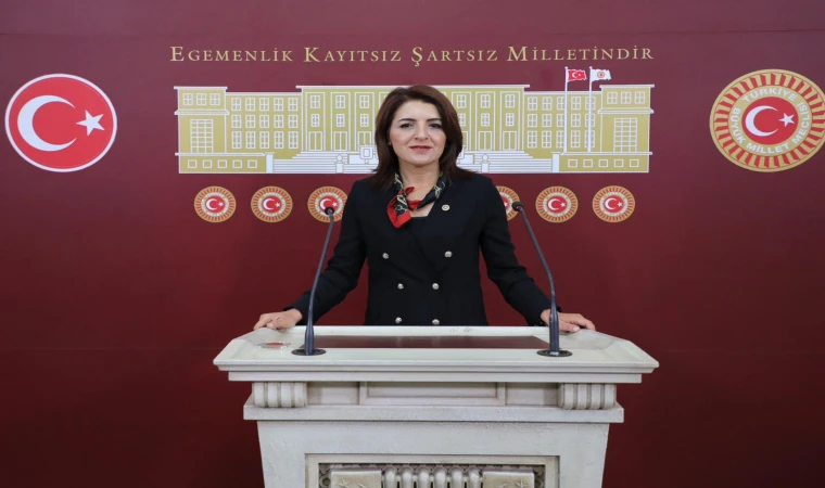 CHP Mersin Milletvekili Gülcan Kış: “İnsan onuruna yaraşır bir toplumsal düzeni kurmaya söz verdik”