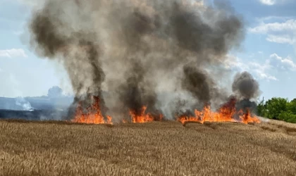 20 günde 500 dönüm buğday tarlası yandı