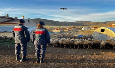 Kayıp koyunlar dron yardımıyla bulundu