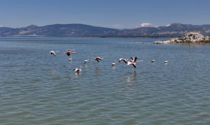 Burdur Gölü'nü besleyen yer altı su kaynakları su kuşlarına ev sahipliği yapıyor